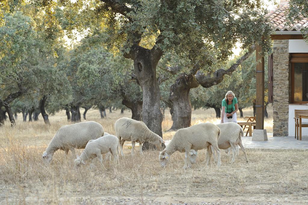 Jaraicejo Finca Las Abubillas מראה חיצוני תמונה