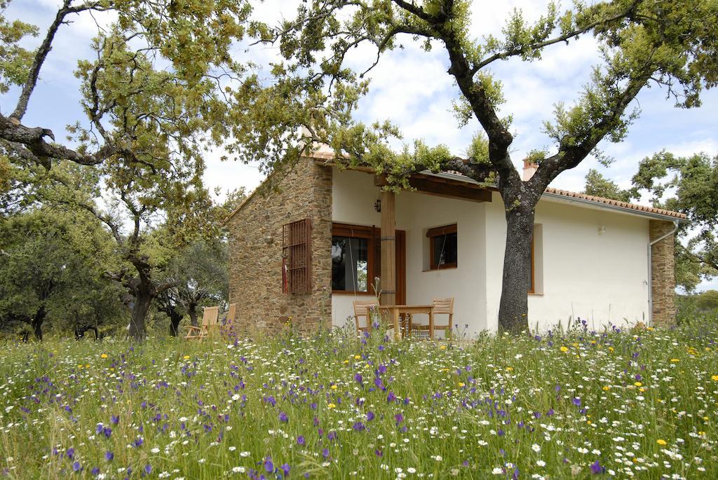 Jaraicejo Finca Las Abubillas מראה חיצוני תמונה